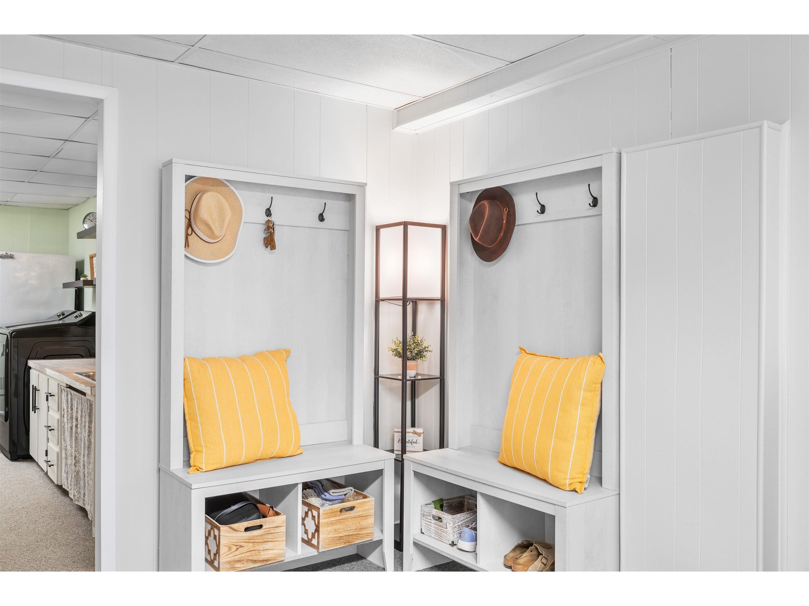Basement Entryway