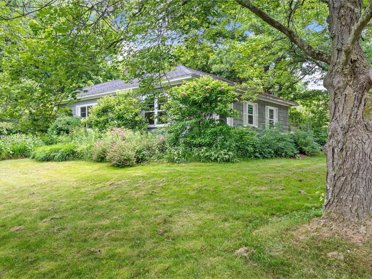 Mature Landscaping