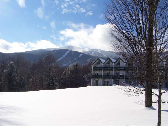 10 Fiddlehead Dr, Unit 10