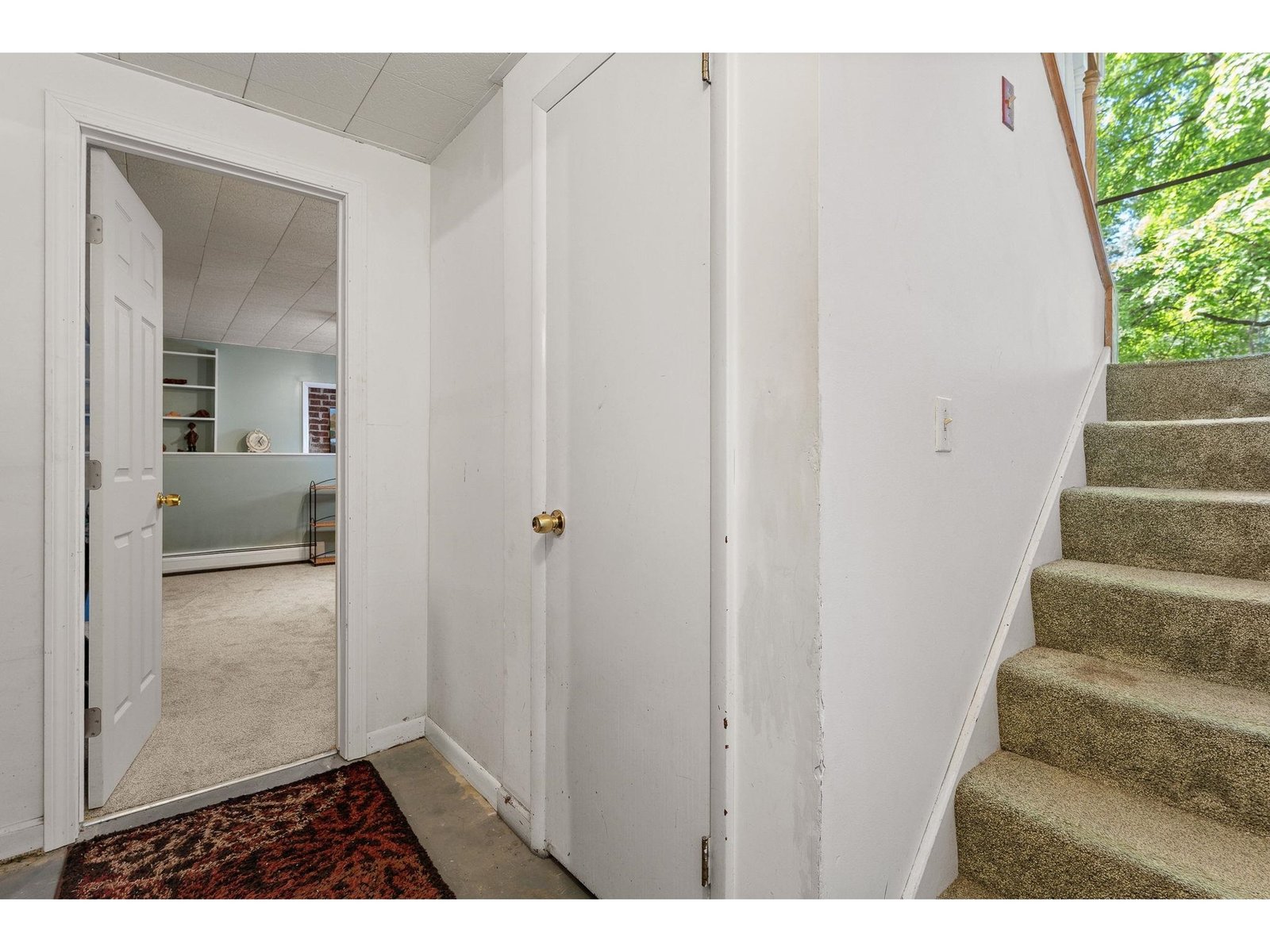 10 Logwood Circle