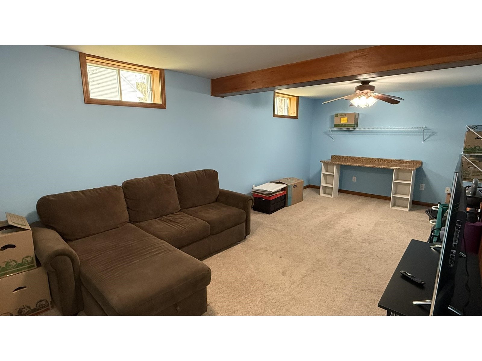 Basement multi-use room