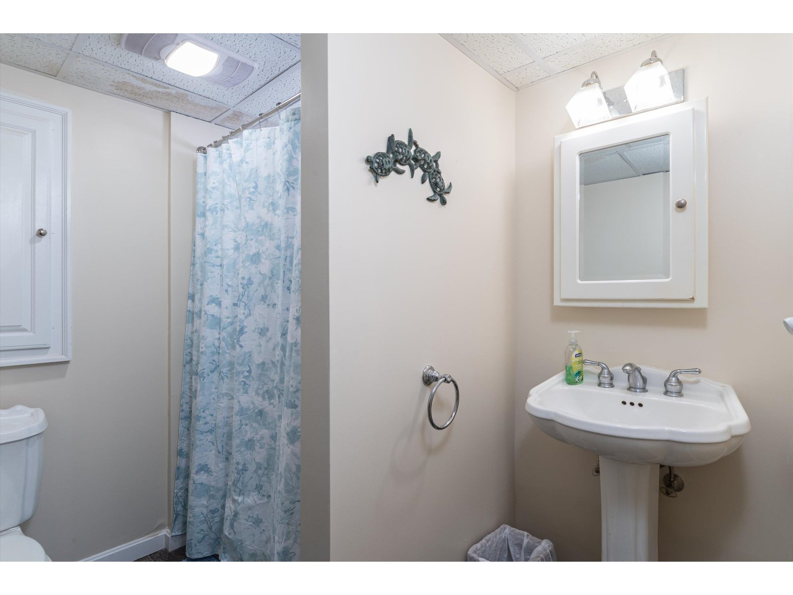 10 Spruce Lane