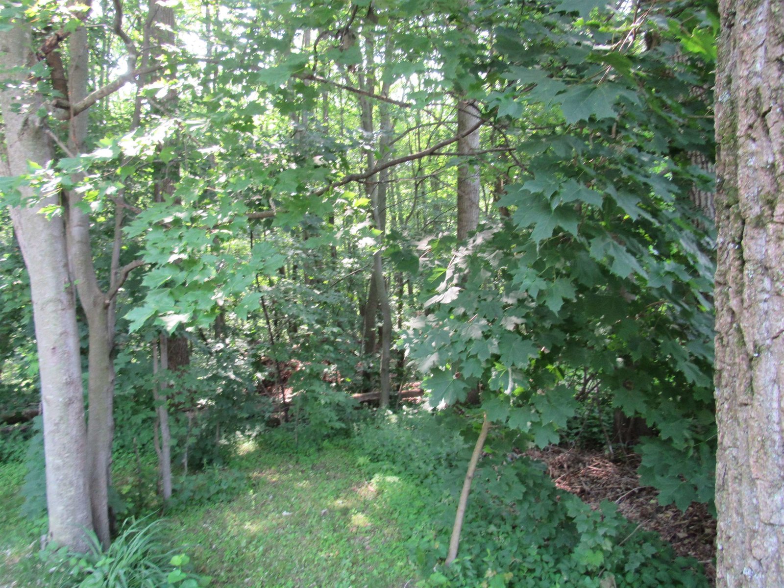100 Lavoie Avenue
