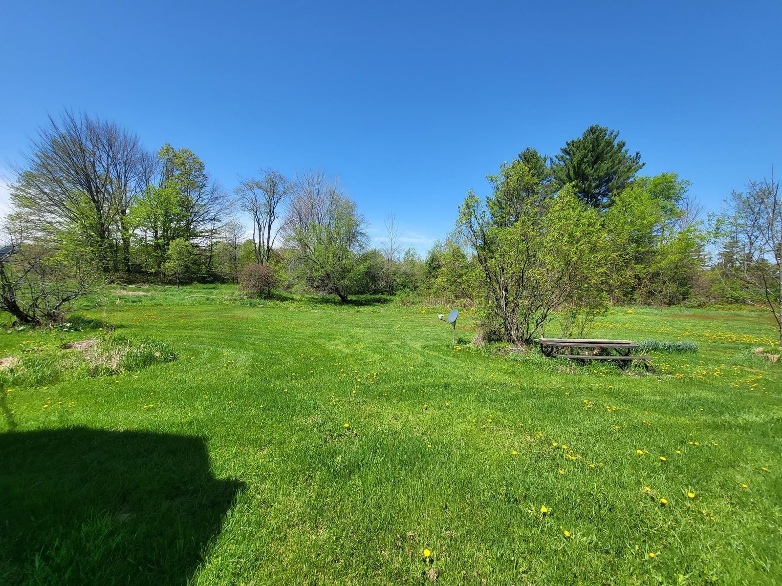 1008 Luce Road