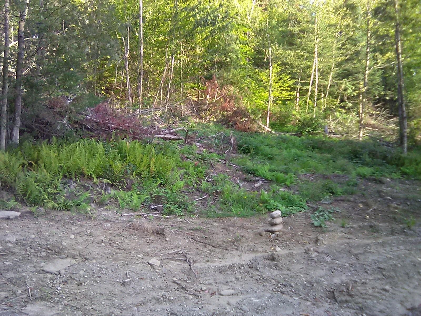 101 Sugar Ridge Lane