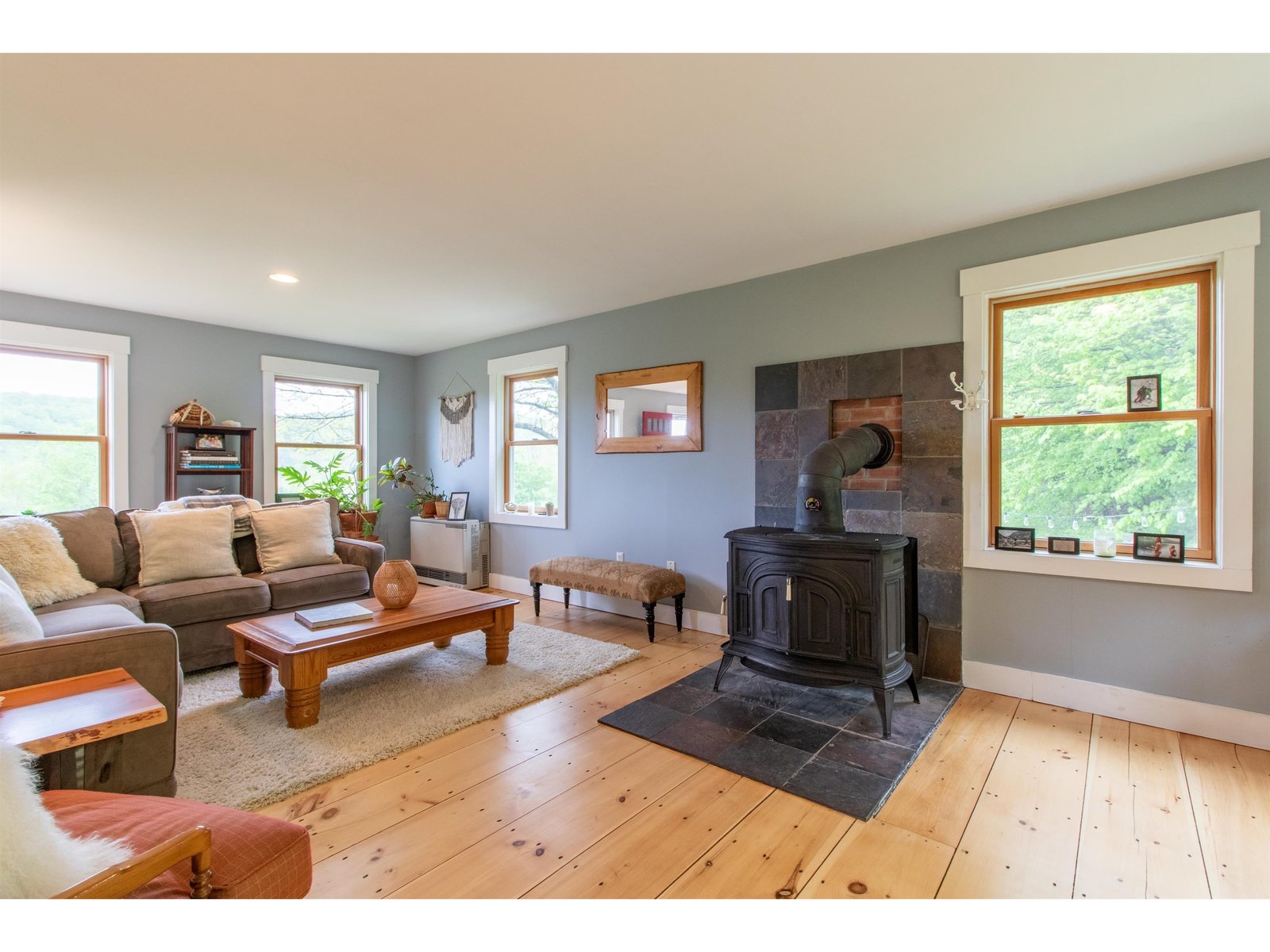 Living room with woodstove
