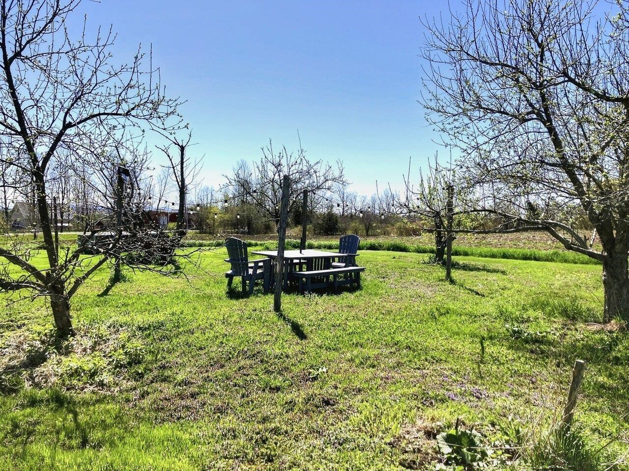 Lush lawns & green meadows