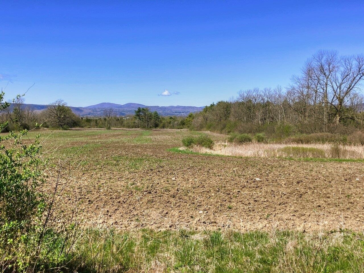 Green Mtn & Adirondack views!