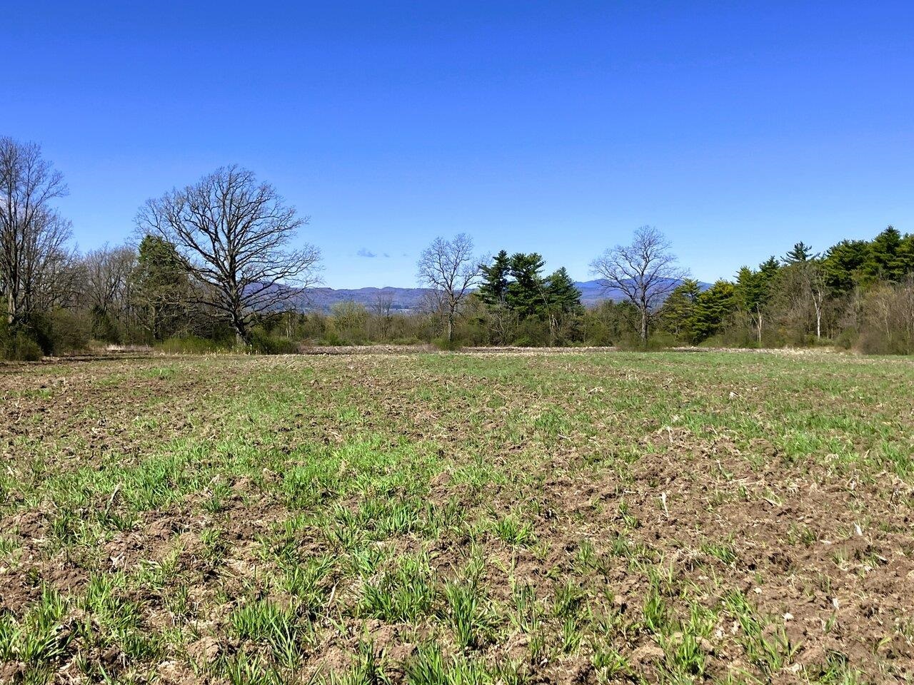 4-bedroom septic permit incl.!