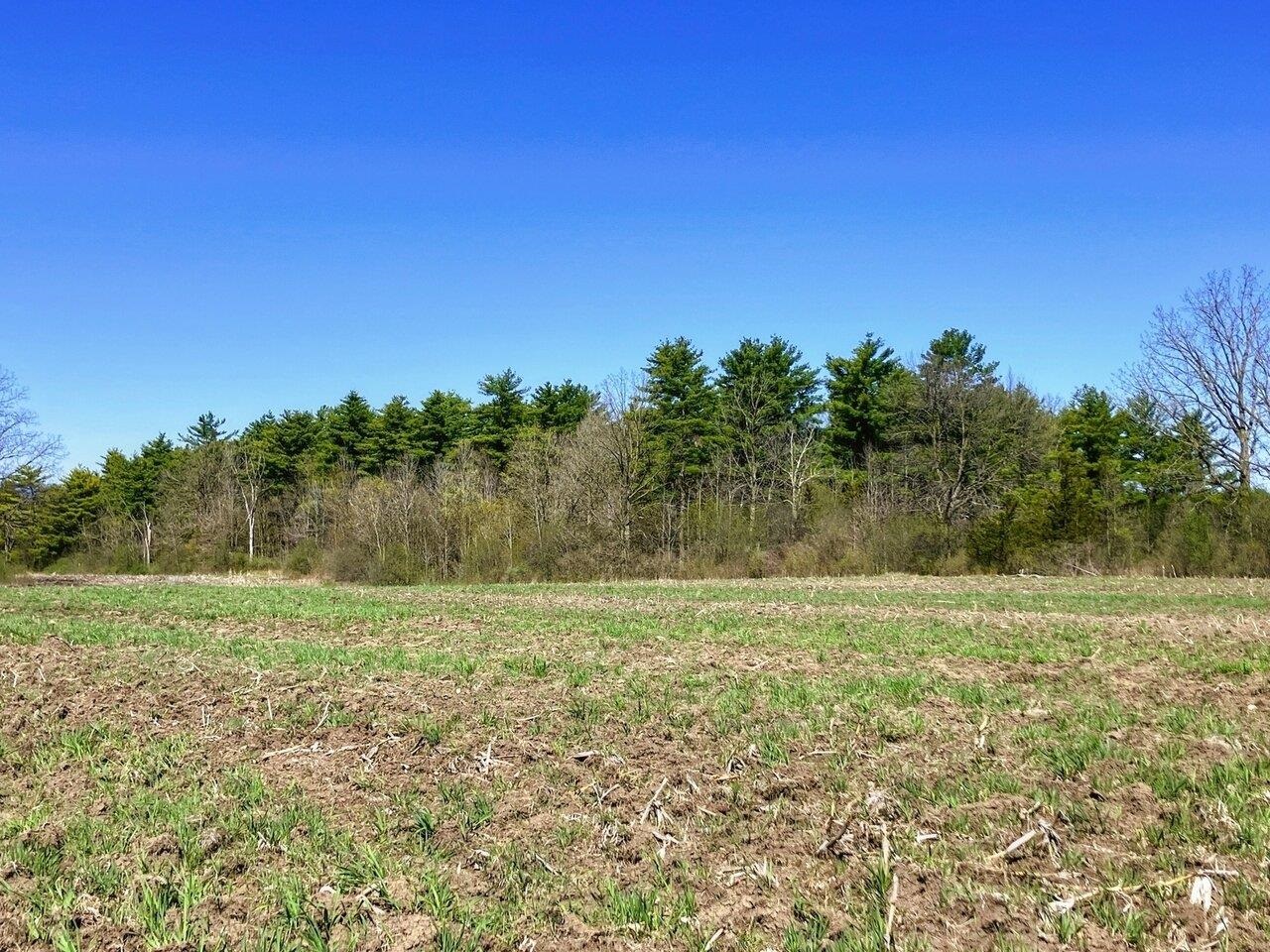 2 acres of woodland