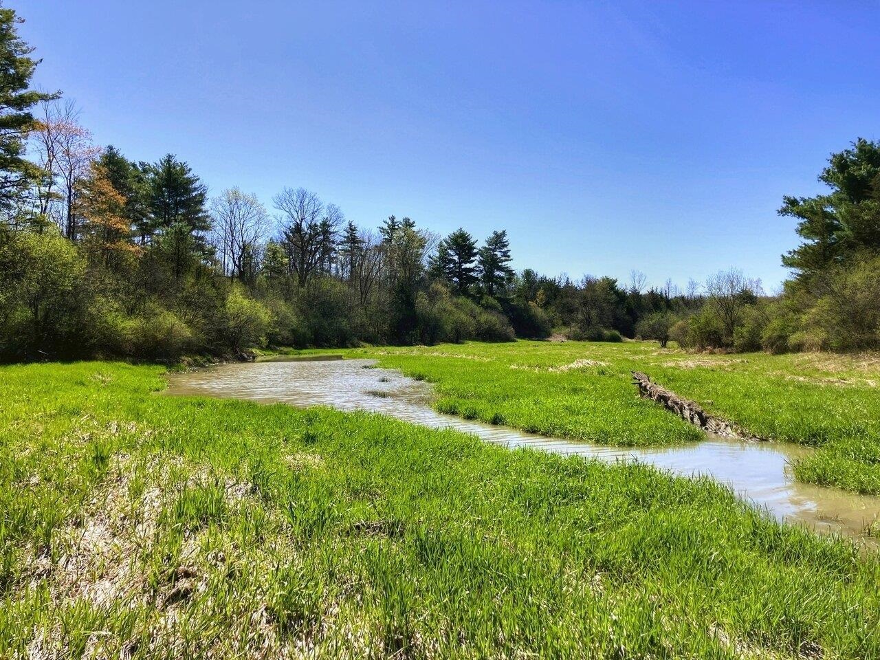 Borders Dead Creek