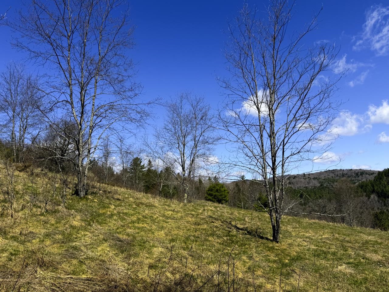 10145 Vermont Route 25