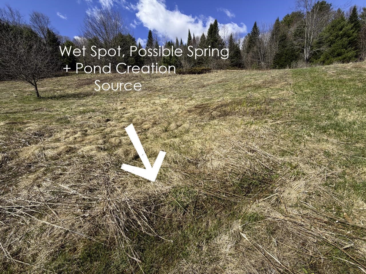 Potential Spring