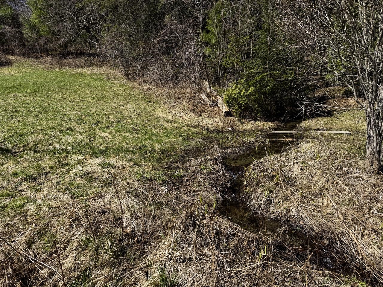 NW Corner Stream Above Route 25
