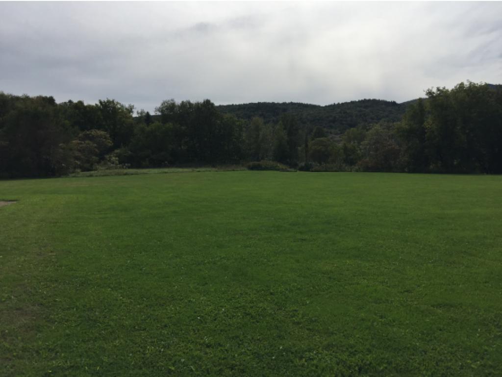 1015 Route 15 W