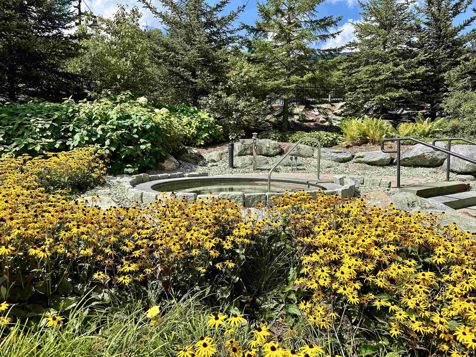 102 Forest Drive, Unit 202 (LO 204)/ IV Clay Brook at Sugarbush