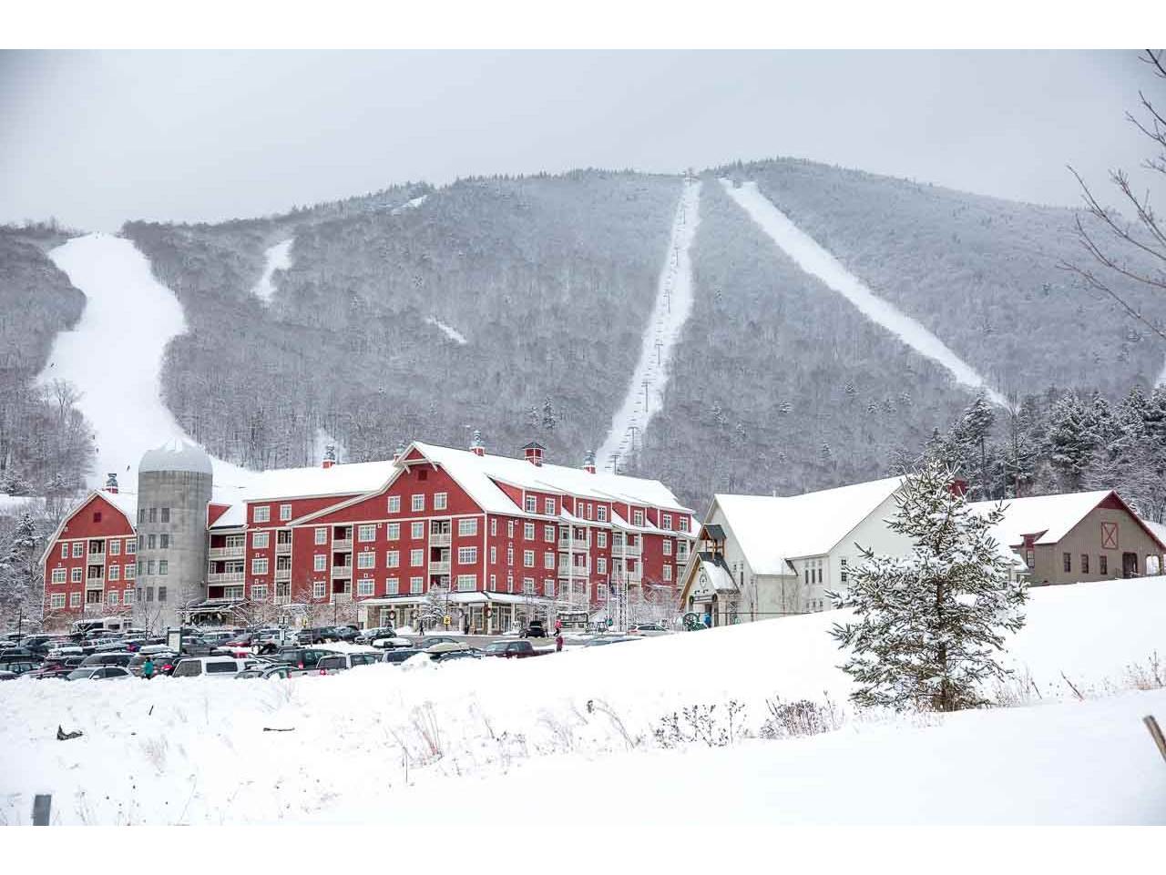 102 Forest Drive, Unit 309 / I Clay Brook at Sugarbush