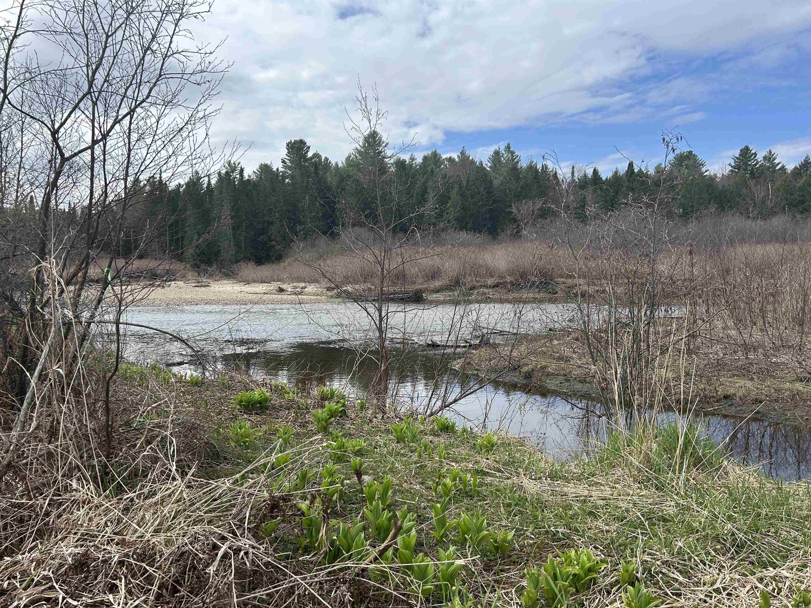 102 River Bend Meadow Drive