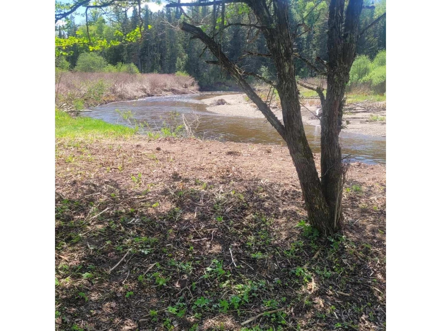 102 River Bend Meadow Drive