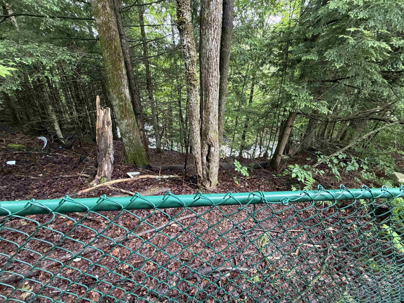 Metal Fenced-in Yard