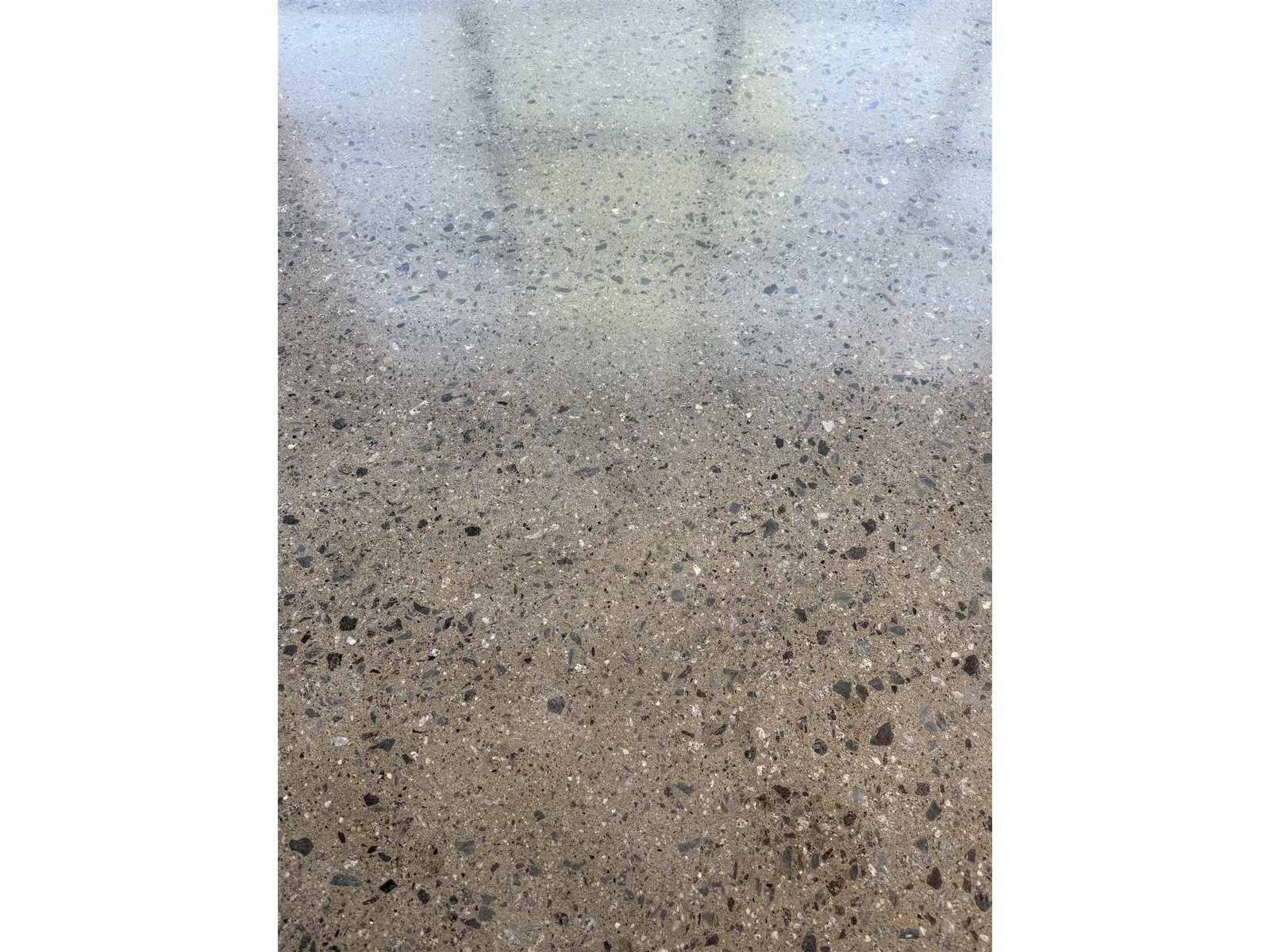Polished Concrete floors