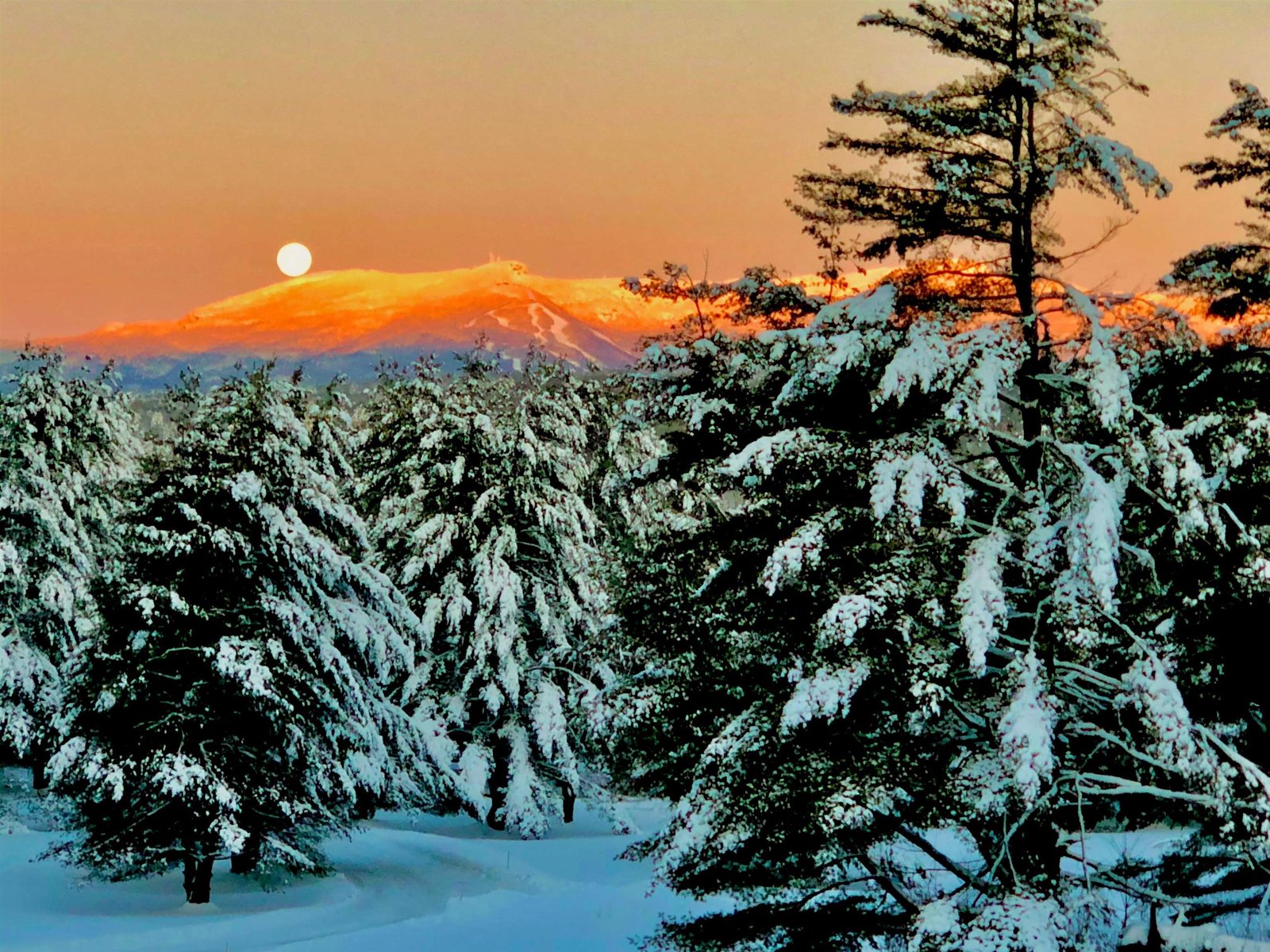 With Mt. Mansfield Views