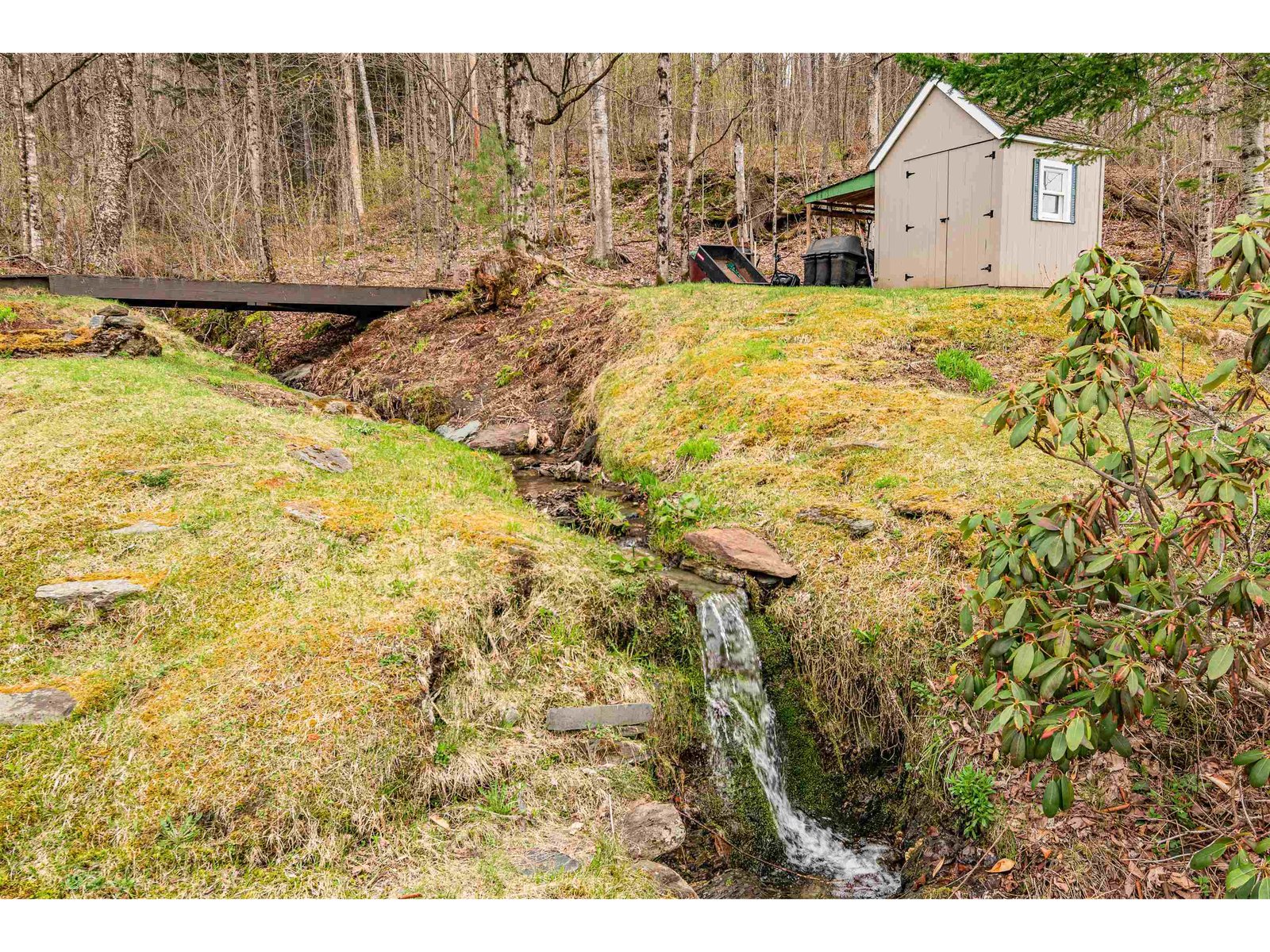 Peaceful brook