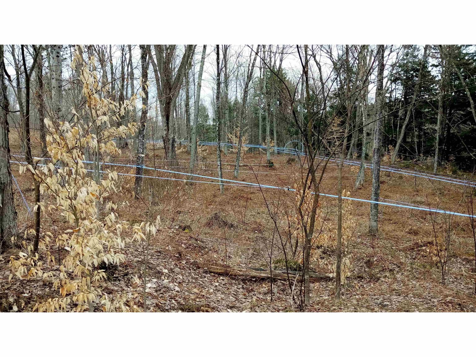 1036 Town Hill Road, Wolcott