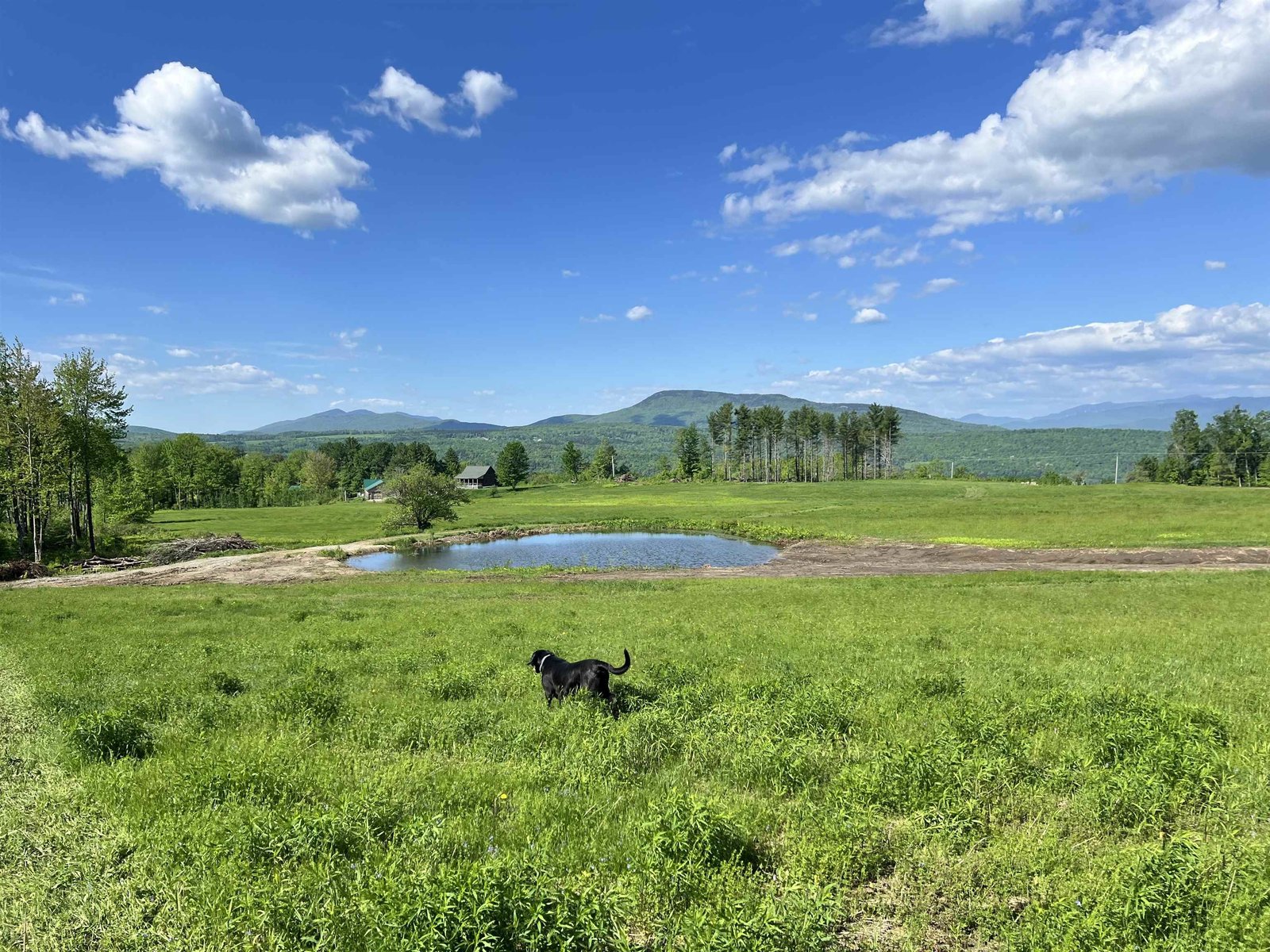 View from Additional Available Land part of entirety - See remarks