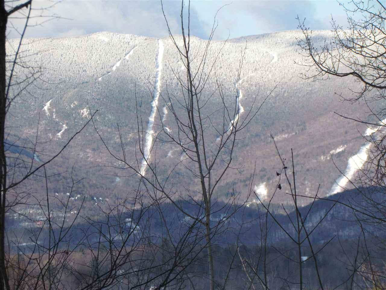 1037 Roxbury Gap Road