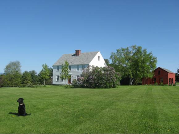 1037 Whalley Rd
