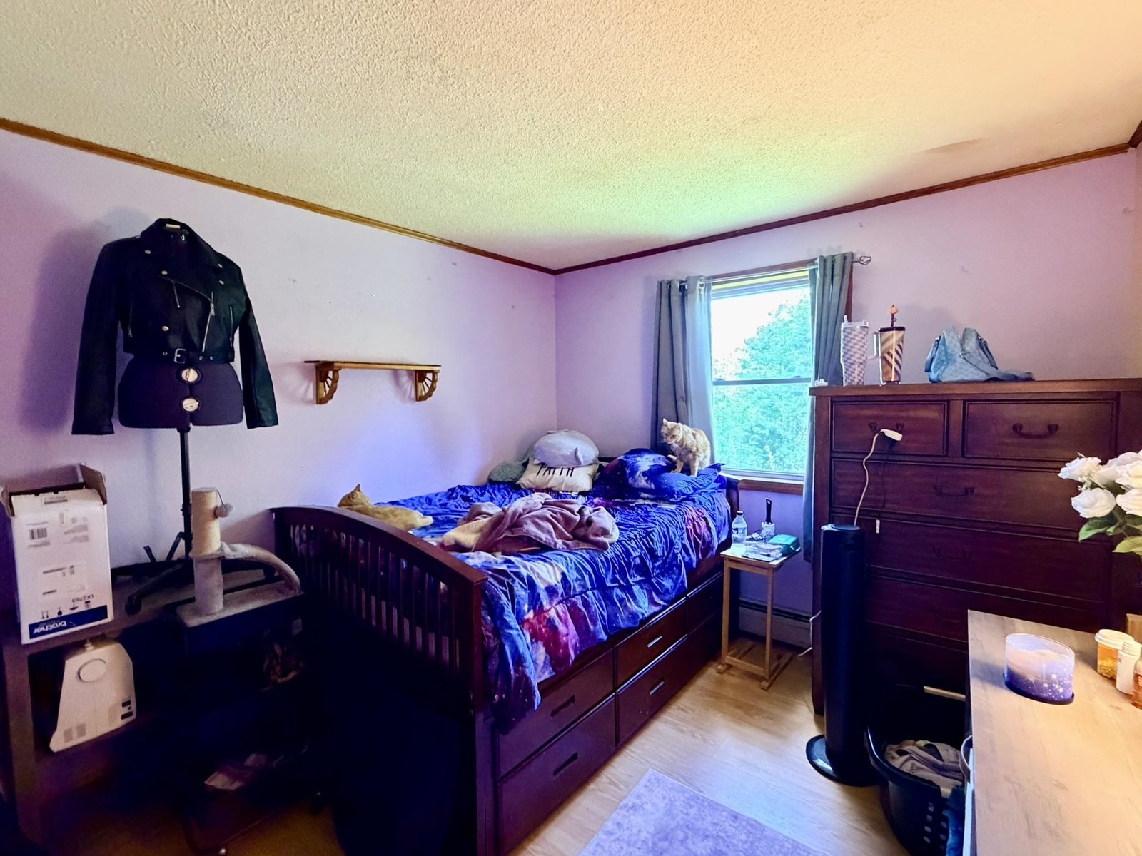 1038 Hazen Notch Road
