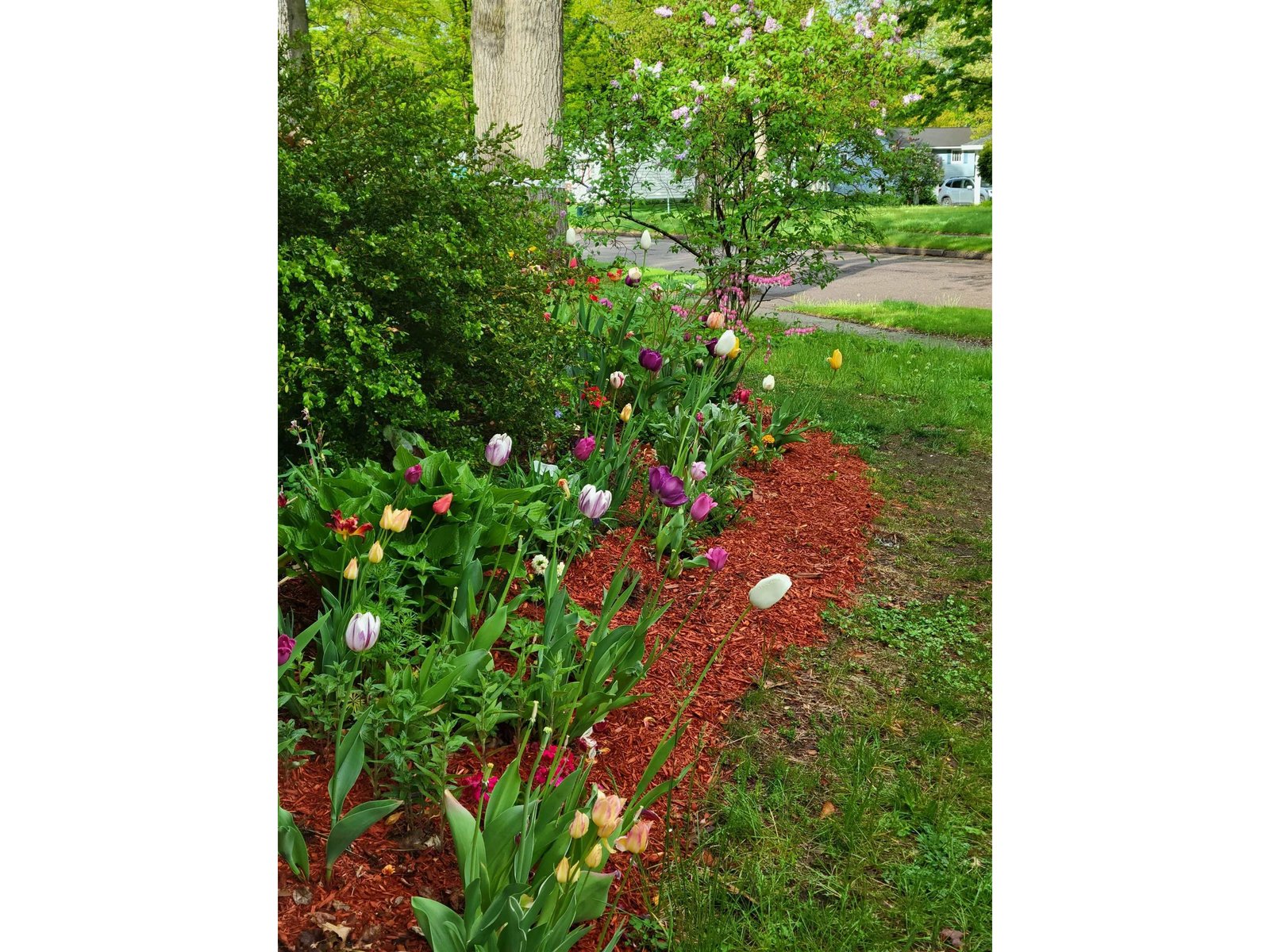 104 Lakewood Parkway