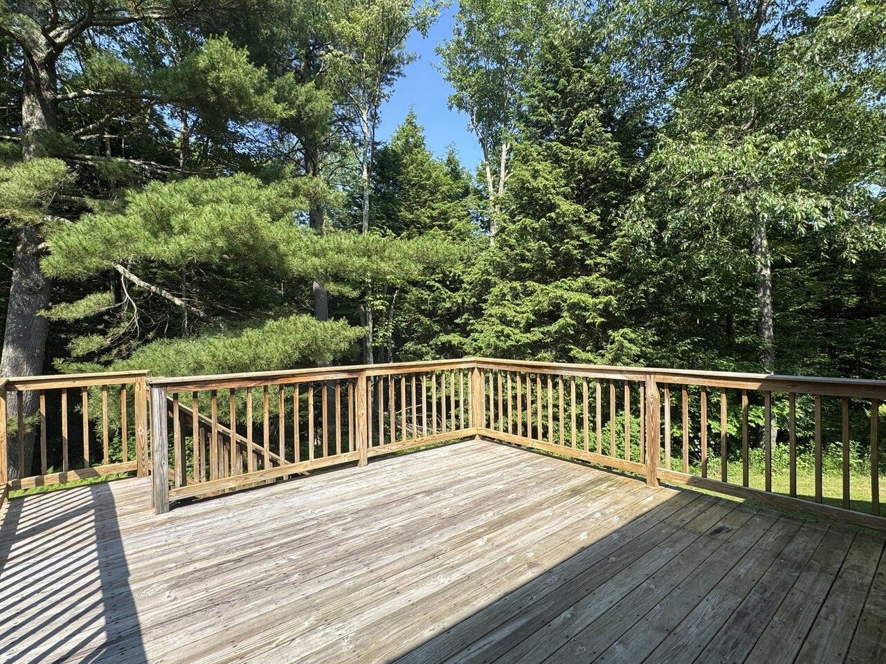 Overlooking Woods