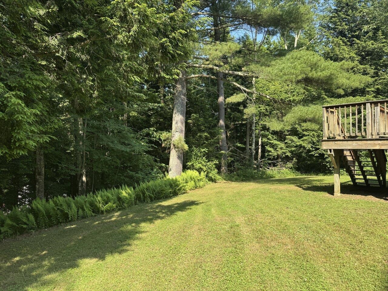 Private Backyard