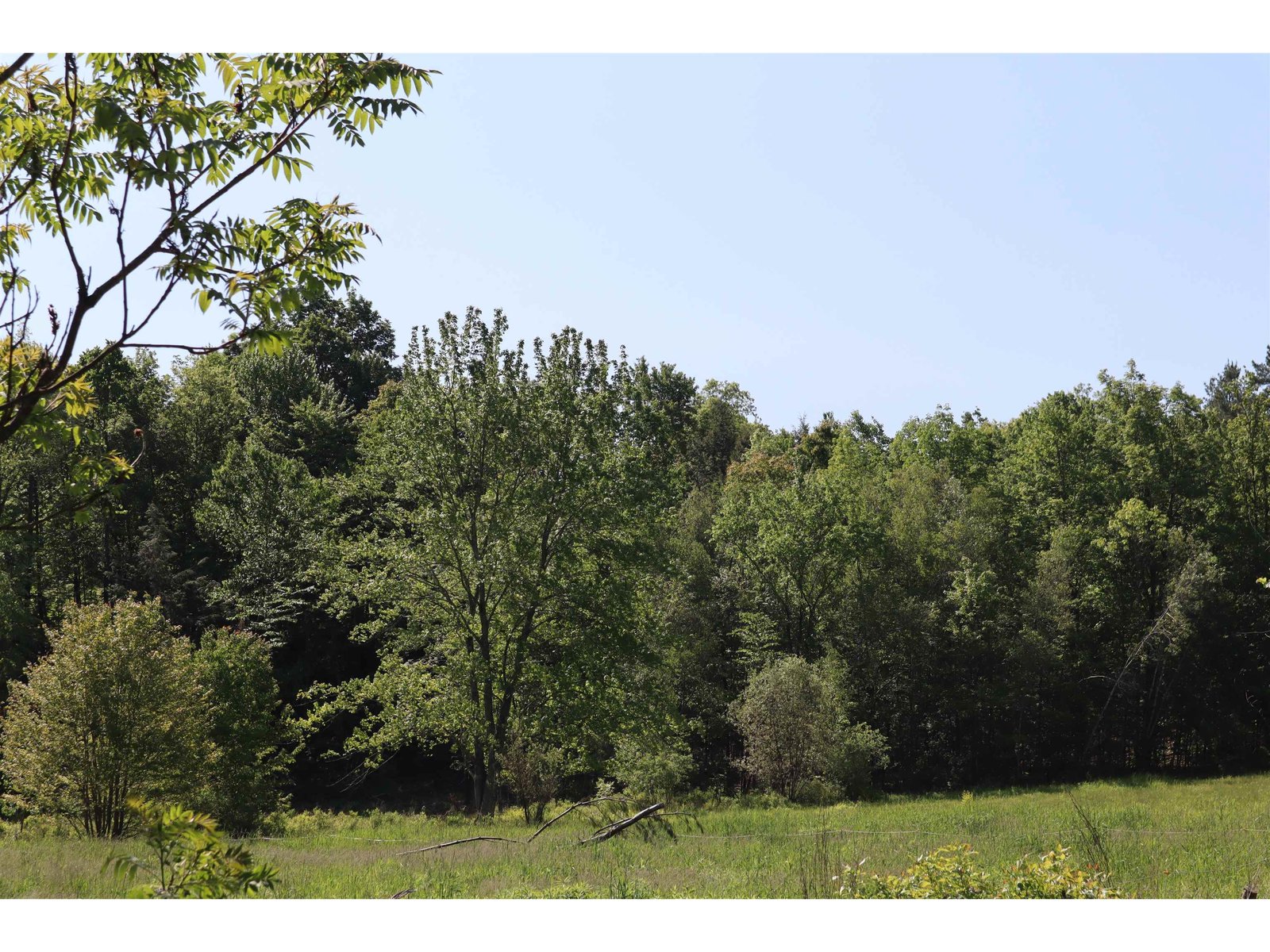 1041 Smead Road, Salisbury