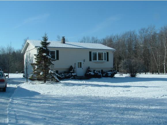 1051 Sandy Birch