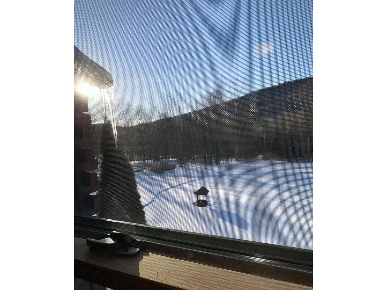 View From Guest bedroom