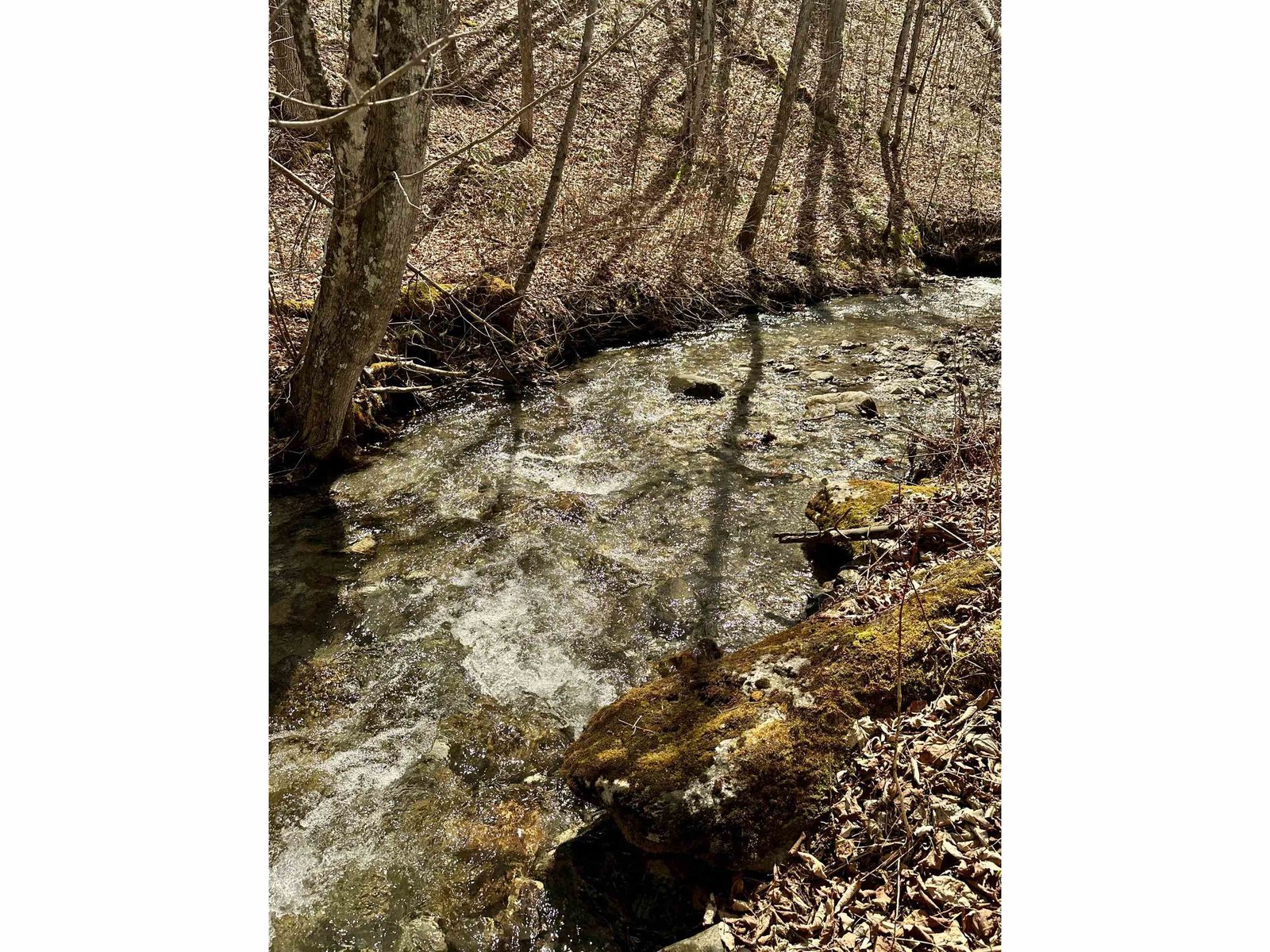 1052 Little Village Road