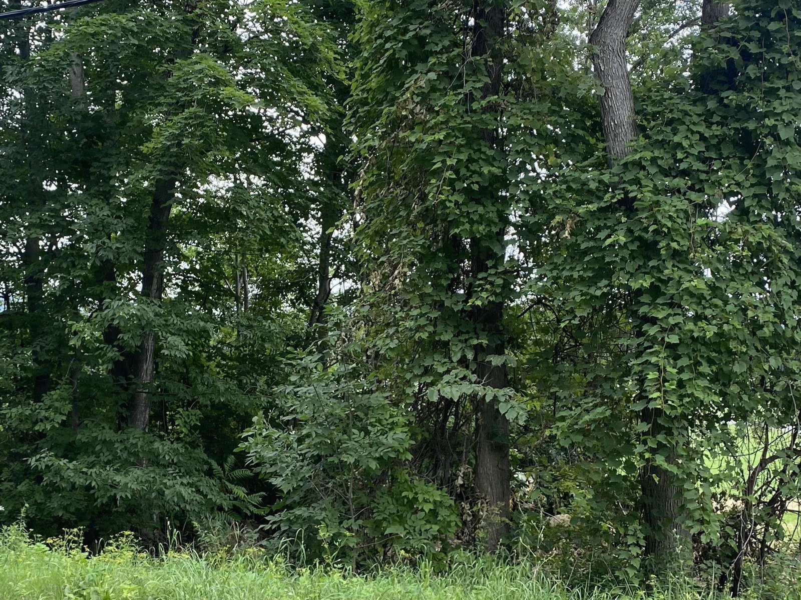 1059 middle Road