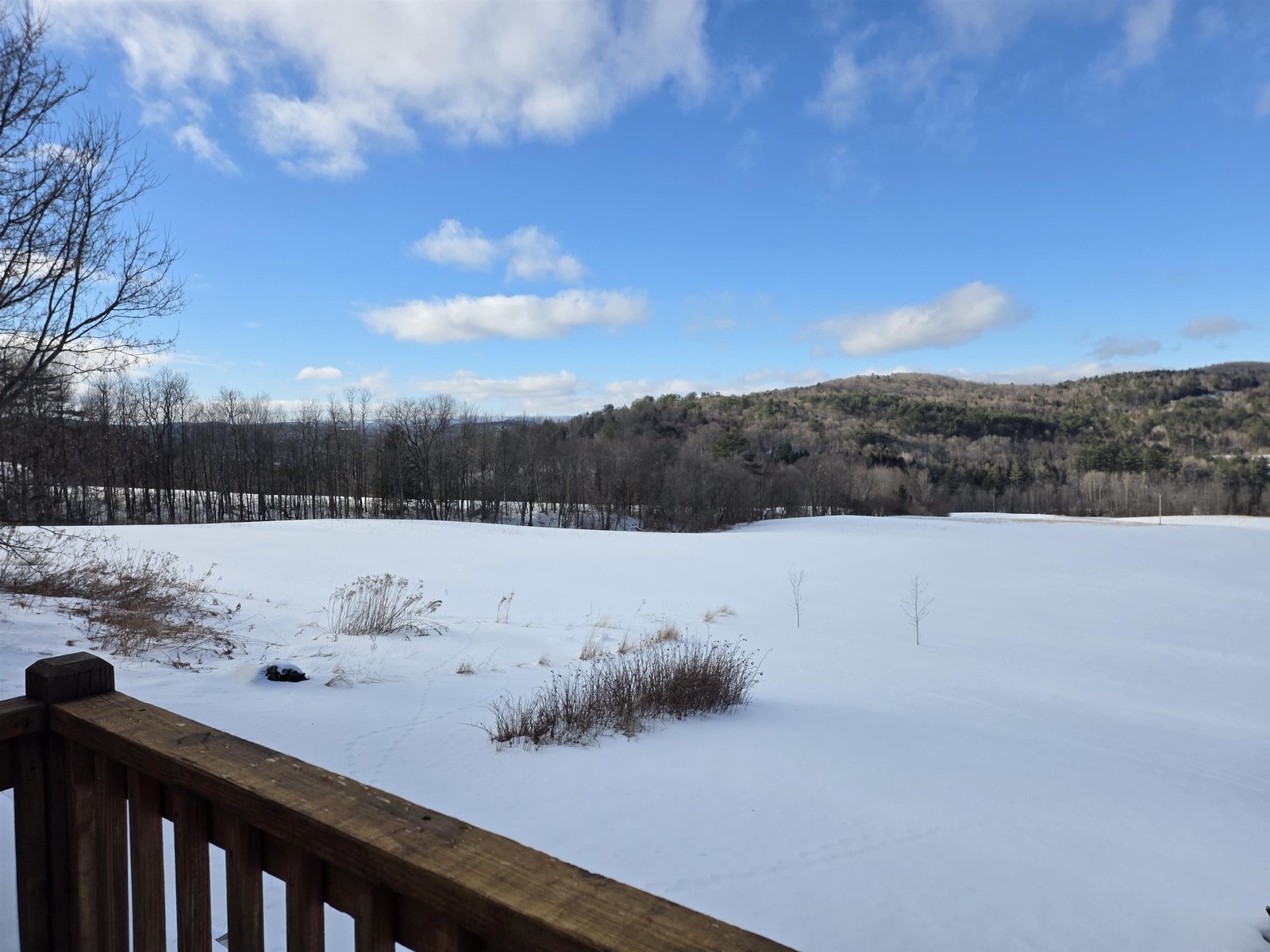 Beautiful Backyard Winter's Day