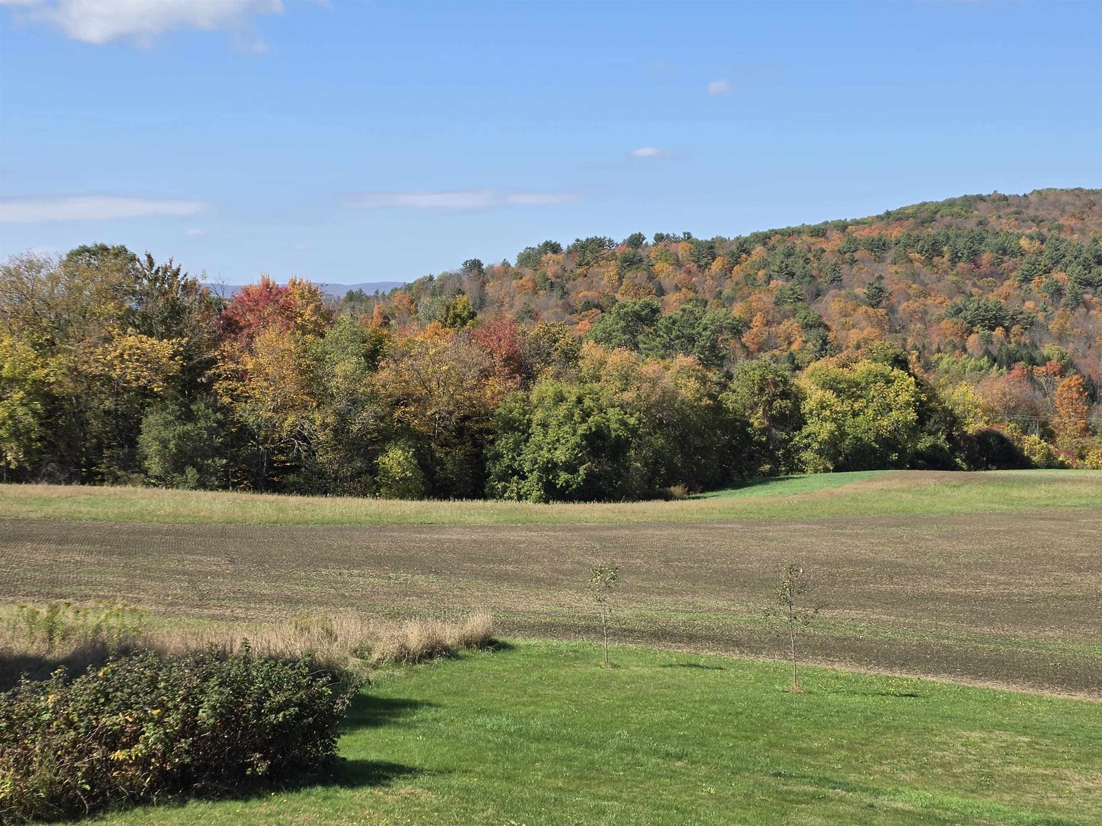 VT Foliage View Out Back