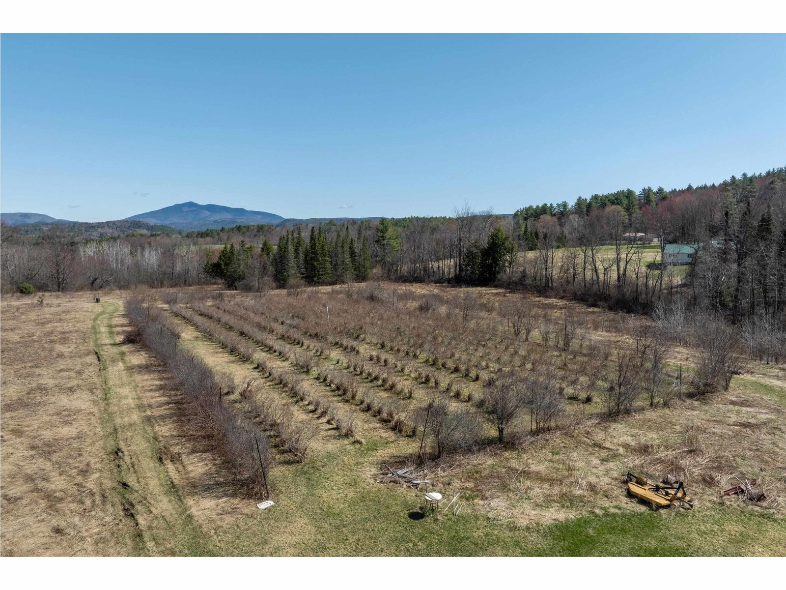1 Acre Blueberry PYO Open seasonally