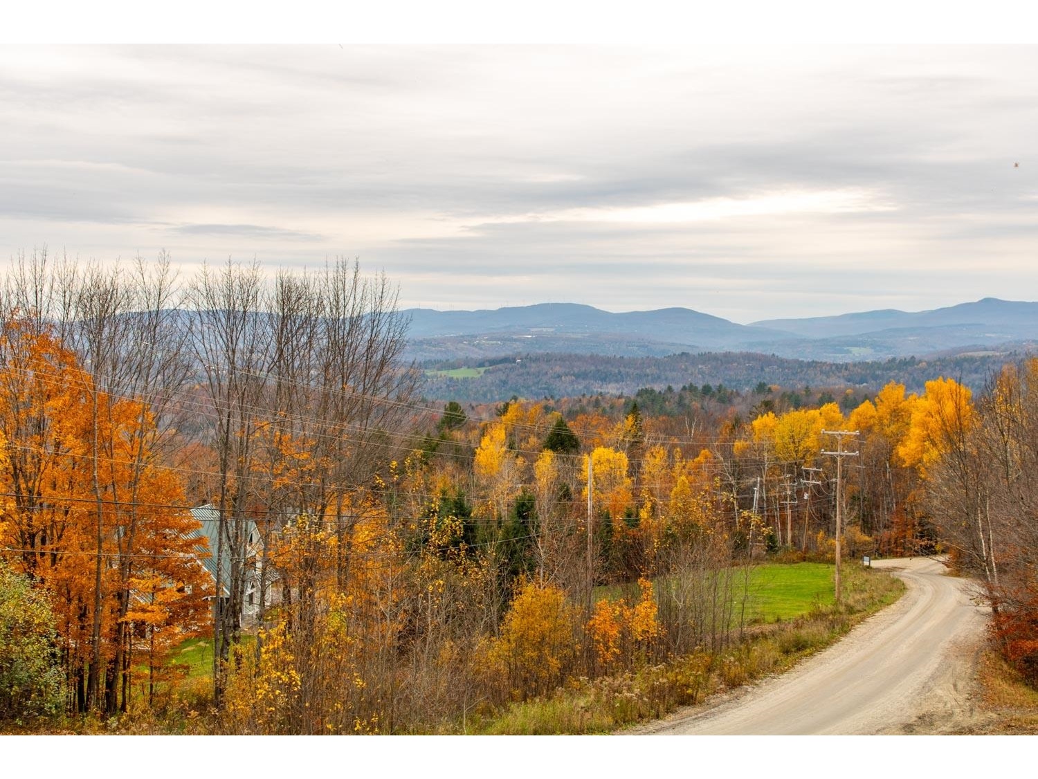 Looking down the road in the fall