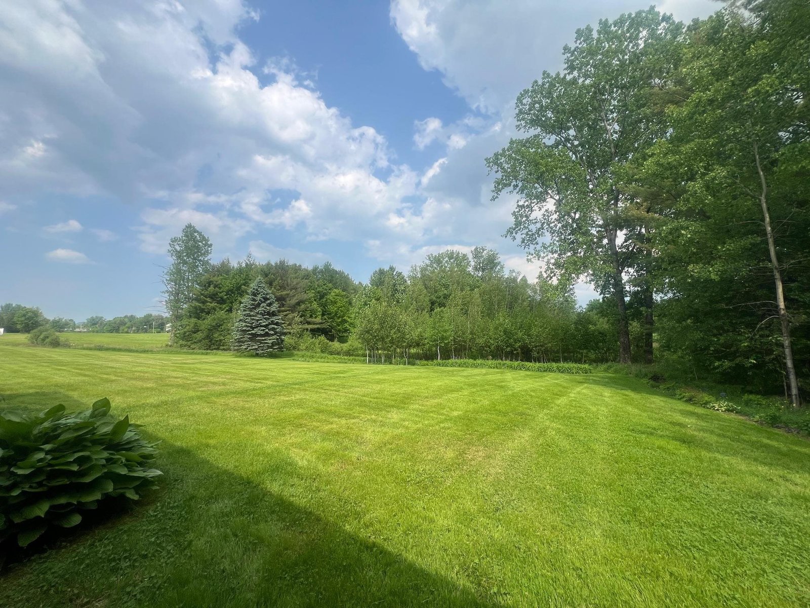 Open Spaces View