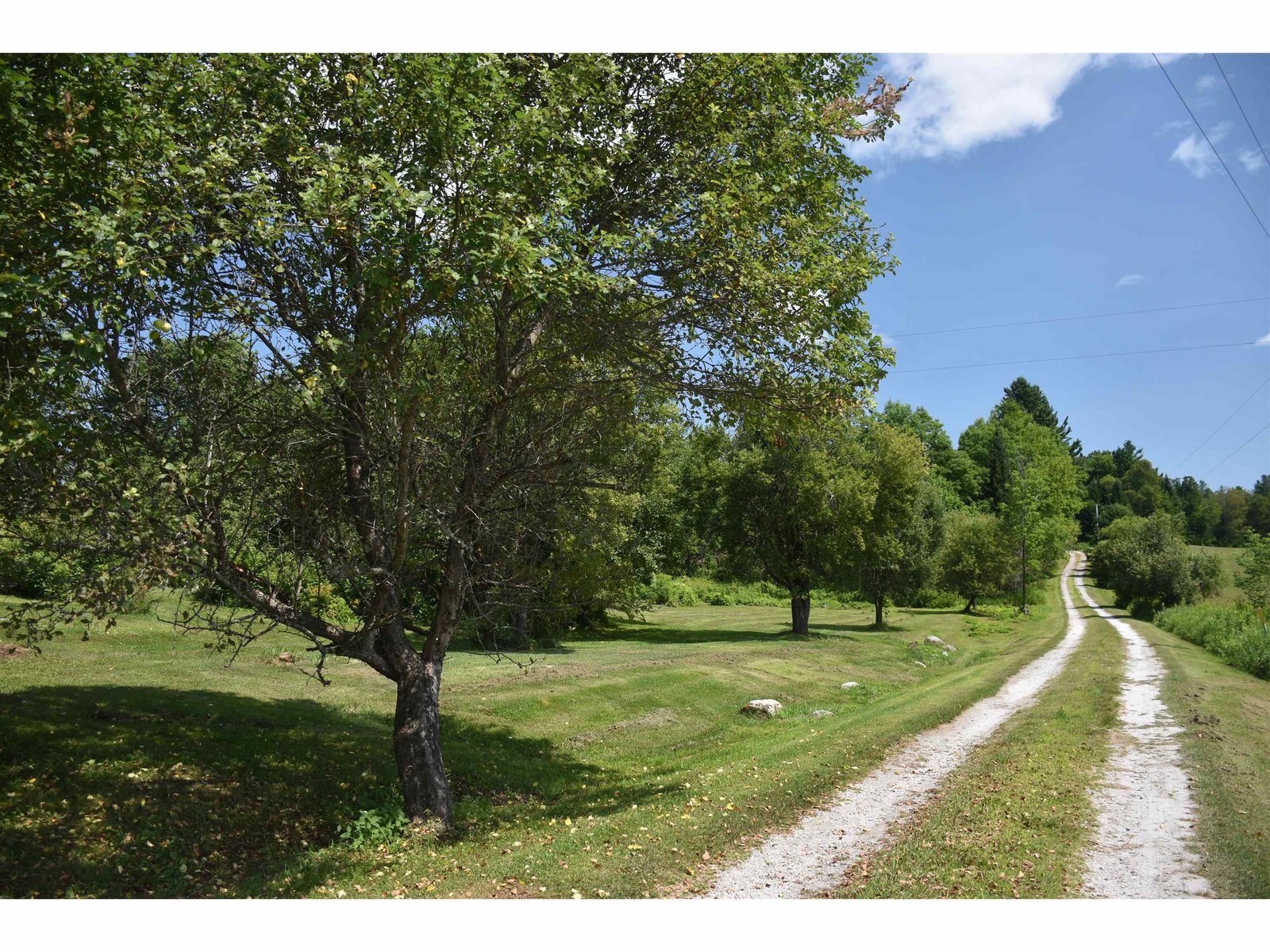 Privately sited up long driveway!