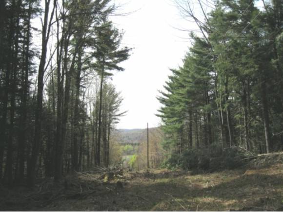 108 Poker Hill Road