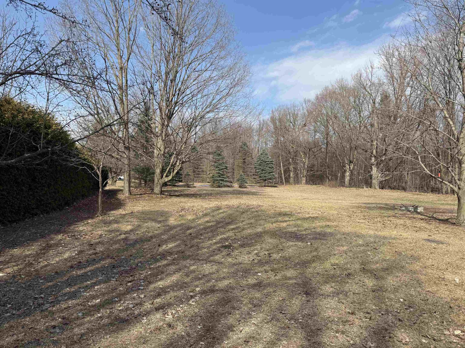 Back Lawn