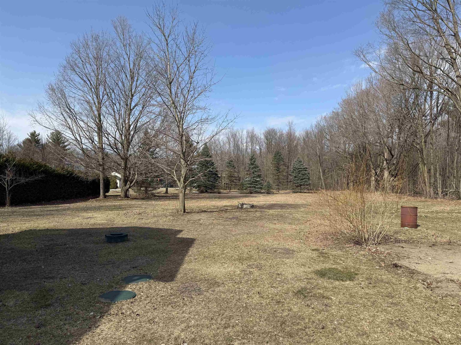 Back Lawn
