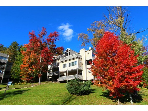109 Mountainside, Unit 202